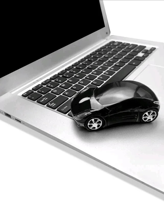 Mouse