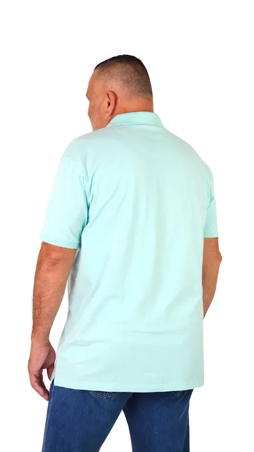 Camiseta Cambrige Polo Club para Caballero