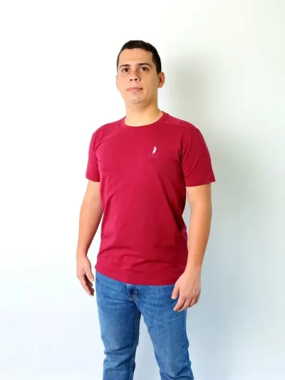Camiseta Cambridge Polo Club para caballero