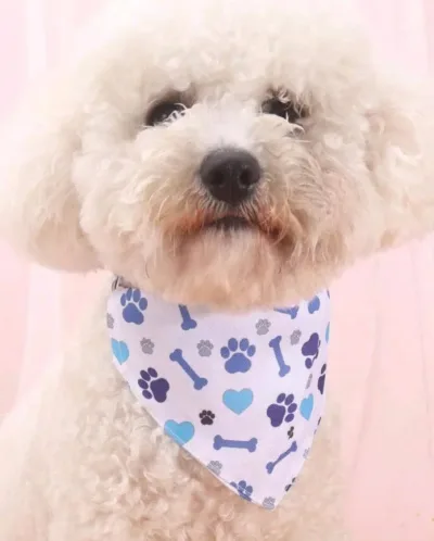 1 pieza pañuelo para mascotas con estampado de hueso y corazón