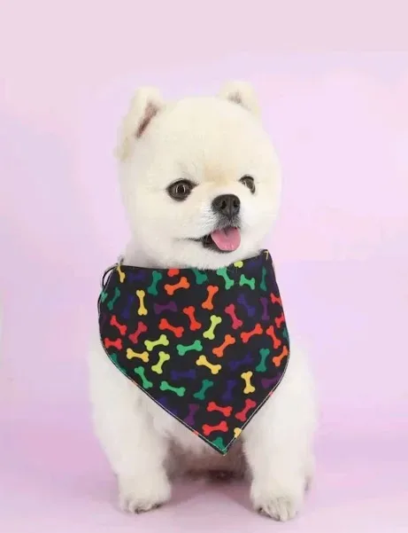 Pañuelo con diseño collar