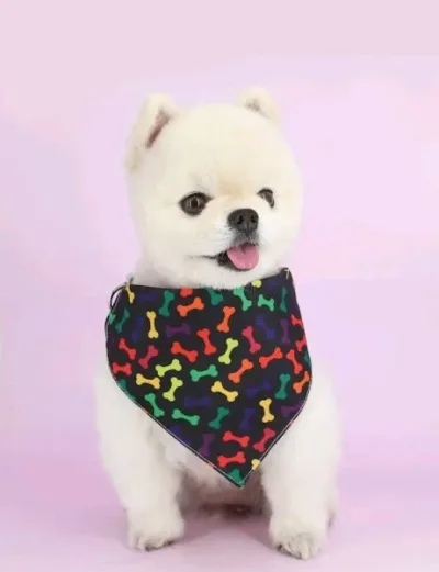 Pañuelo con diseño collar