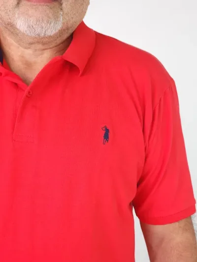Camiseta Cambrige Polo Club para Caballero