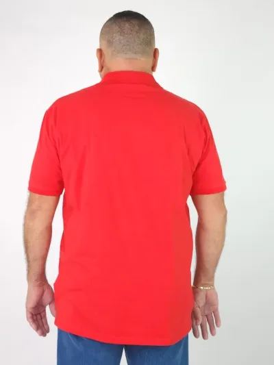 Camiseta Cambrige Polo Club para Caballero