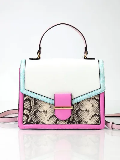 Bolso ALDO multicolor
