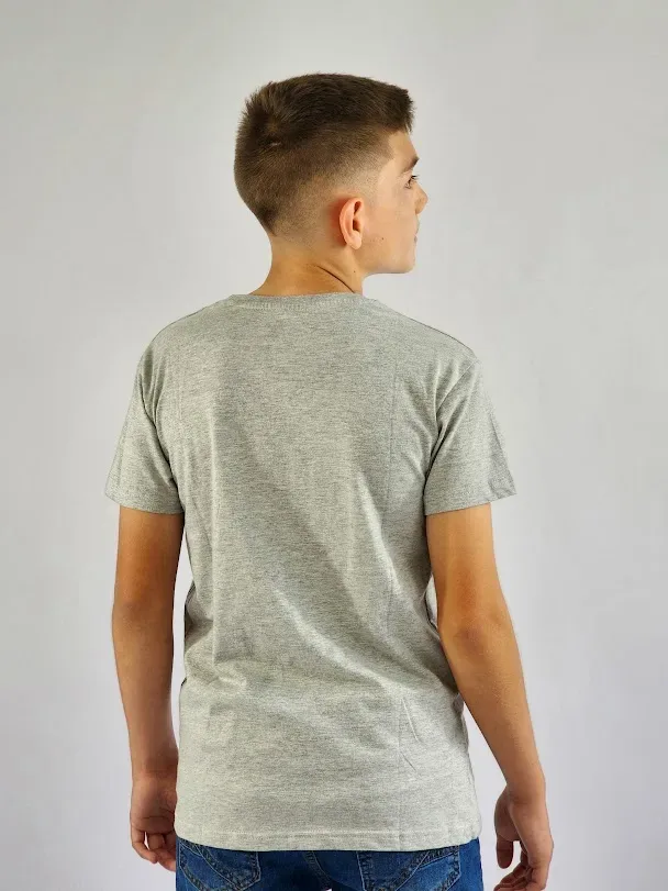 Camiseta Cambrige Polo para niño color gris
