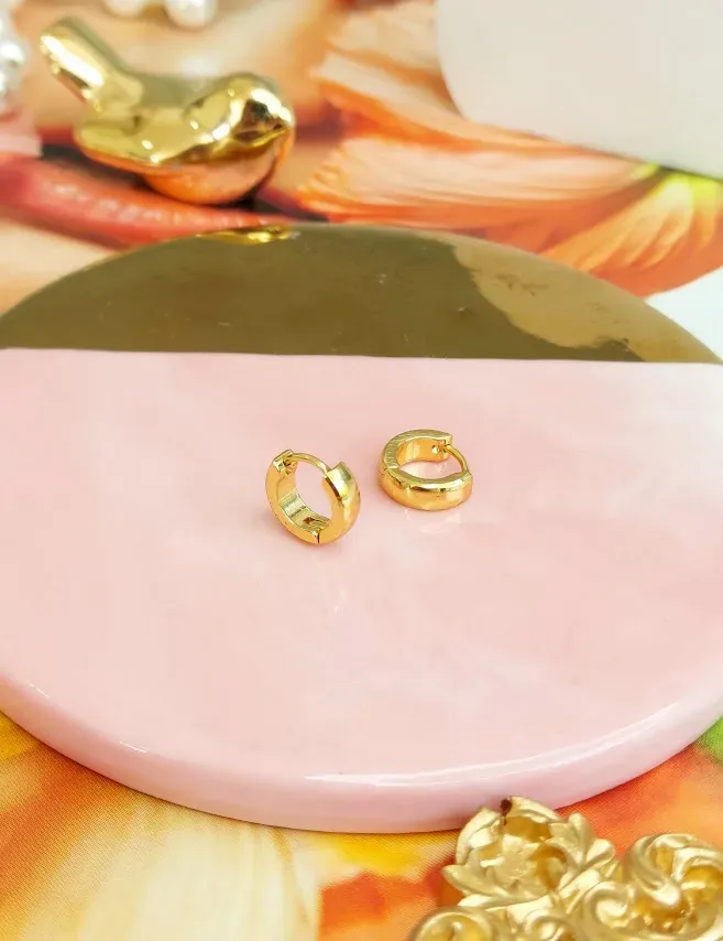Par de aretes de acero inoxidable para dama
