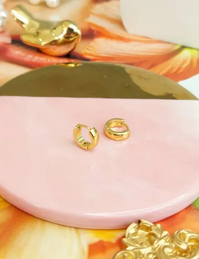 Par de aretes de acero inoxidable para dama