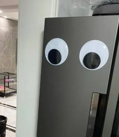 2 piezas de ojos para refrigeradora