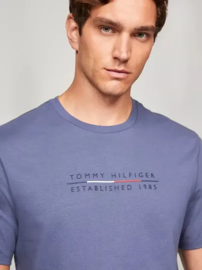 Camiseta Tommy Hilfiger para caballero
