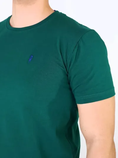 Camiseta Cambrige Polo Club para Caballero