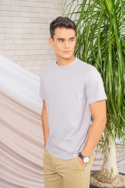 Camiseta American Eagle para caballero color gris