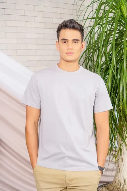 Camiseta American Eagle para caballero color gris