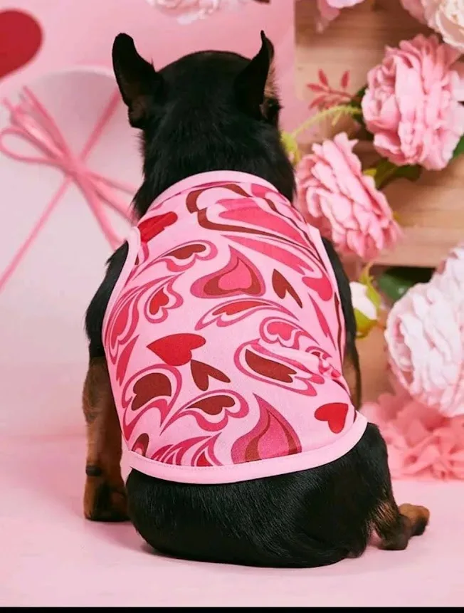 Camisa para perro