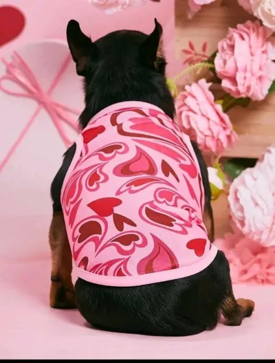 Camisa para perro