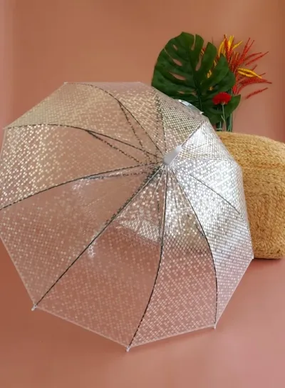 Sombrilla transparente