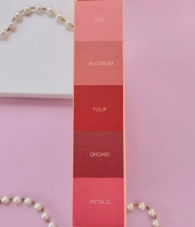 Kit de 5 labiales