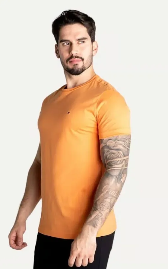 Camiseta Tommy Hilfiger para caballero