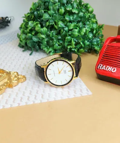 Reloj Q&Q para caballero color negro con dorado