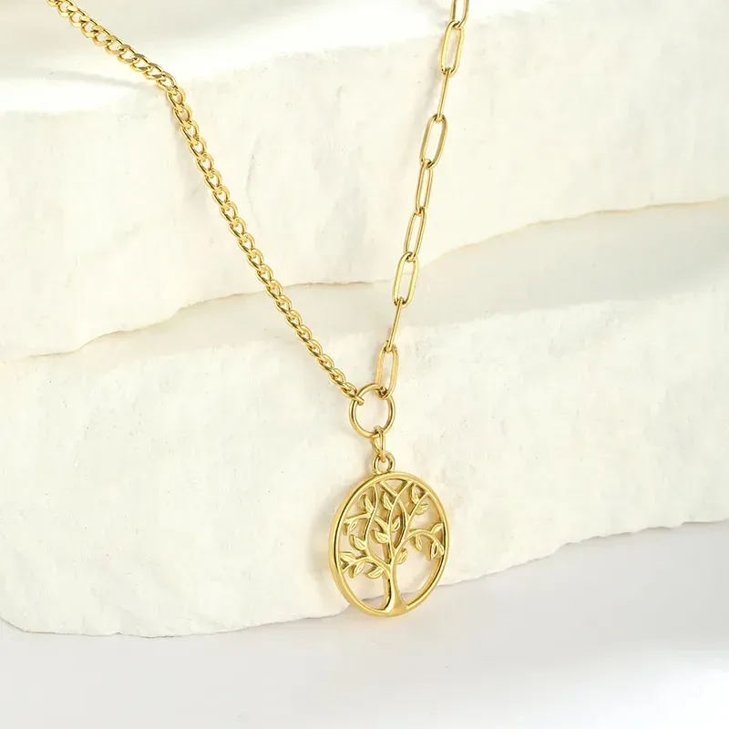 Collar de acero inoxidable