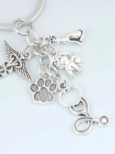 LLavero con accesorios de veterinaria