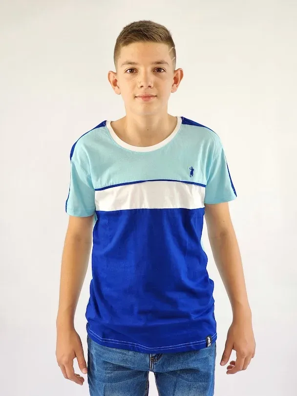 Camiseta Cambrige Polo para niño multicolor
