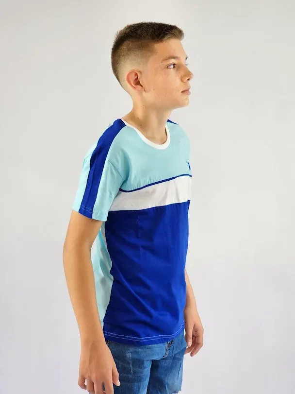 Camiseta Cambrige Polo para niño multicolor