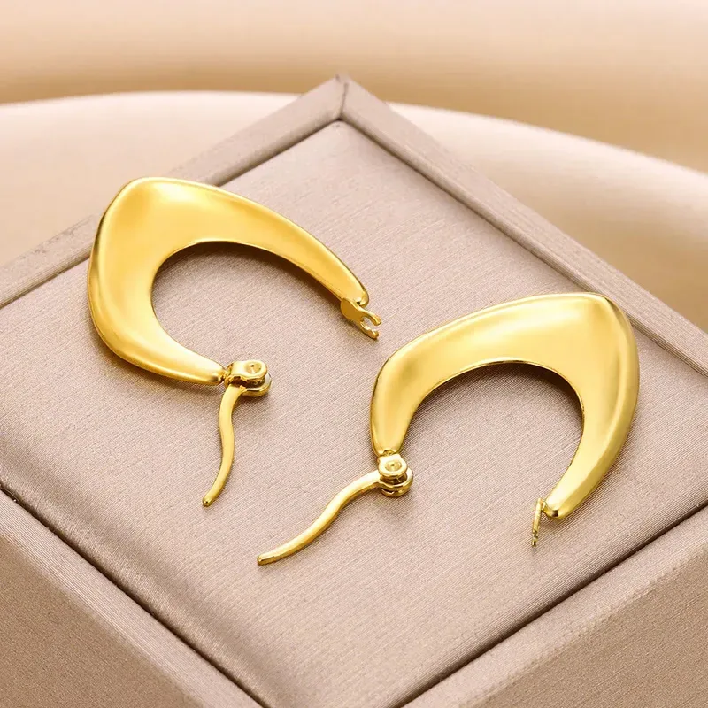 Aretes de Acero inoxidable para Dama