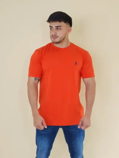 Camiseta Cambridge Polo Club para caballero